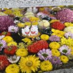 最近は花手水がある場所が多くなりましたよね🌼花好きには最高です！